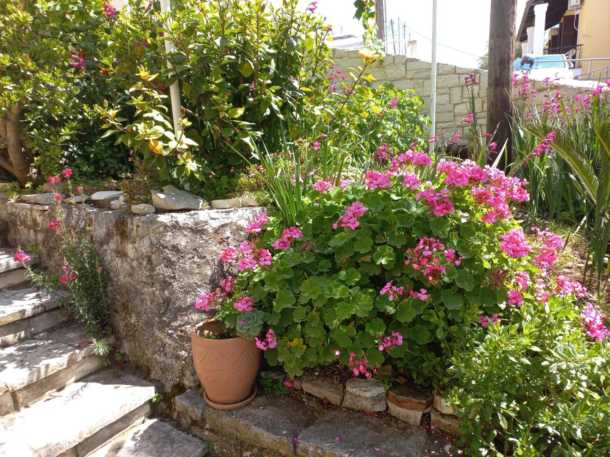 Apartamento Oneiro House Kassiopi Exterior foto