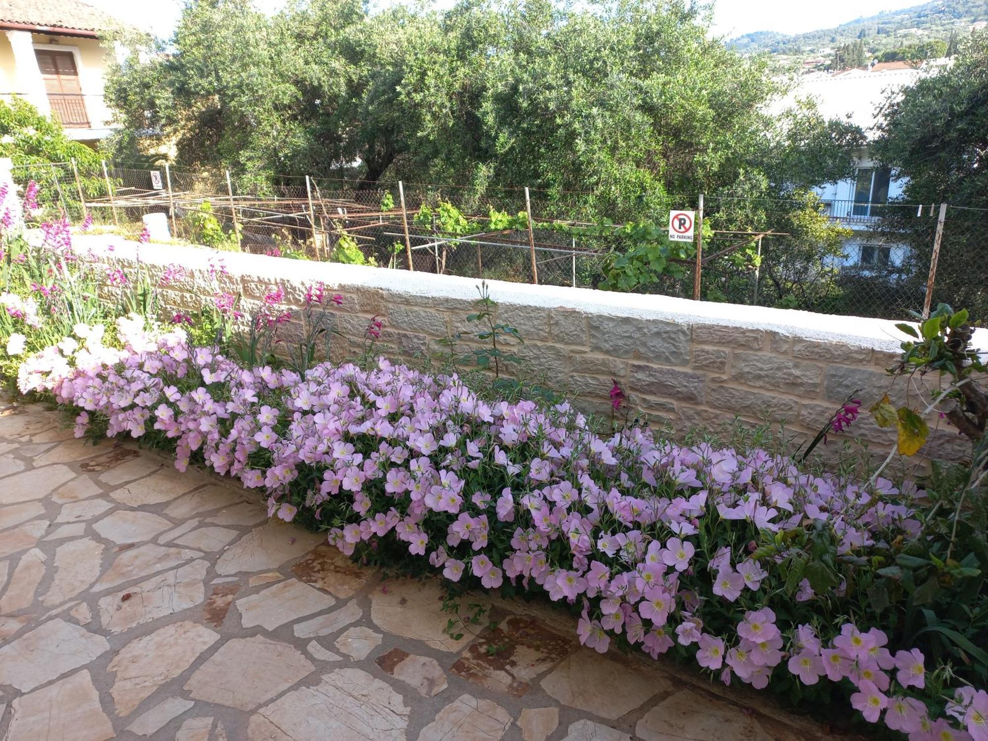Apartamento Oneiro House Kassiopi Exterior foto
